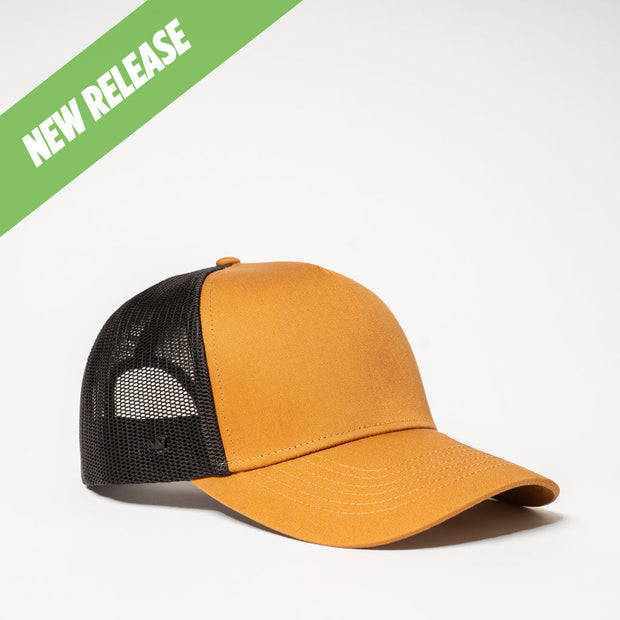 #colour_Tan / Black Mesh